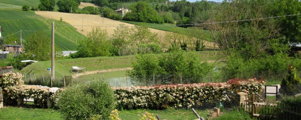 La Pietra Rara B&B Montone  Exterior photo
